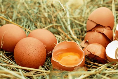 21 Types Of Chicken Egg Abnormalities And What They Mean .